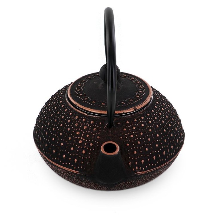 Théière en fonte, SUI noire, avec filtre inox - 0,8 litre - Aromandise