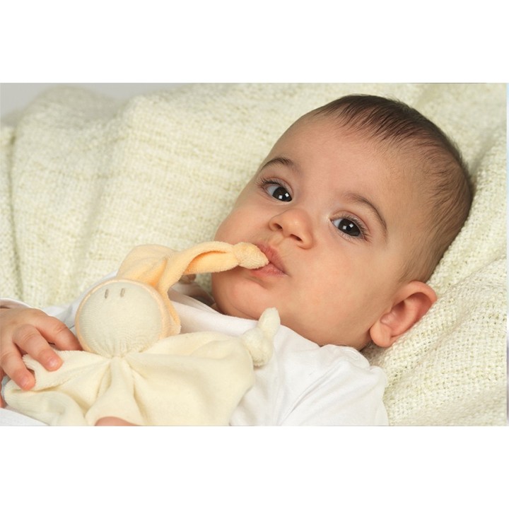 Großohr-Kuscheltier für Kinder -   Blau, Toddel Kornblume - Keptin-Jr.