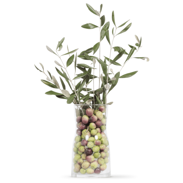 OLIVIE PowerUp, Wunderperlen aus Wüstenolivenbäumen, reich an Antioxidantien und Resveratrol - 340g - Olivie