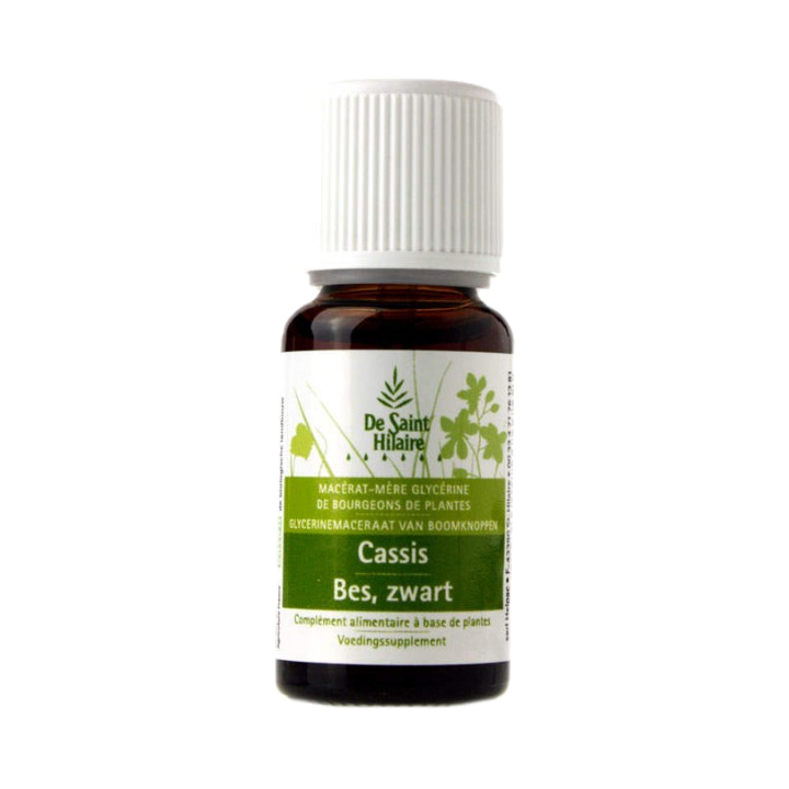 Mazerat aus schwarzen Johannisbeerknospen - 30ml - Saint-Hilaire
