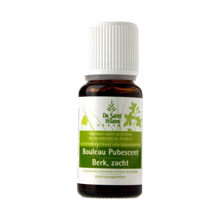 Macerato di germogli di betulla bio (Betula Pubescent) - 30ml - Saint-Hilaire