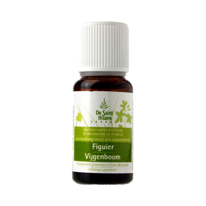 Macerato organico di gemme di fico - 30ml - Saint-Hilaire