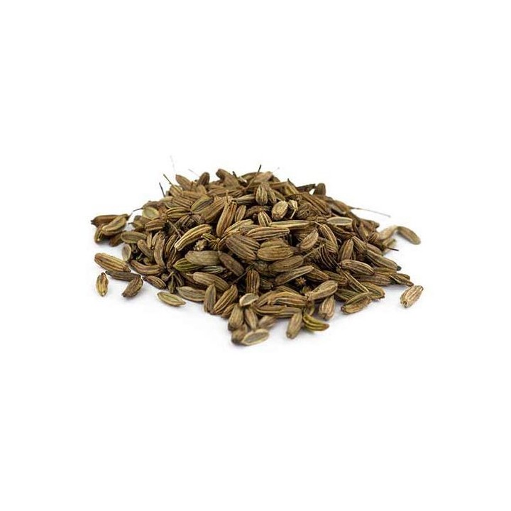 Fenchel Bio-Samen - Cellocompost Zero Waste - 40gr - Aromandise
