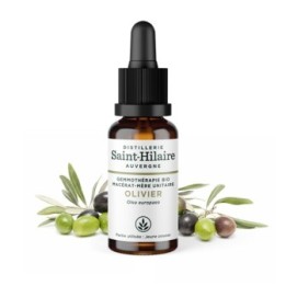 Macerato di germogli d'oliva biologico - 30ml - Saint-Hilaire