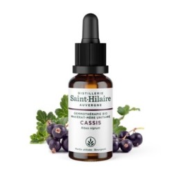 Macérat glycériné BIO de bourgeon de Cassis - 30ml - Saint-Hilaire