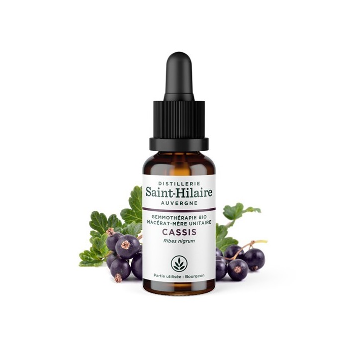 Macerato di gemme di ribes nero - 30ml - Saint-Hilaire