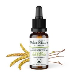 Bio-Birkenknospenmazerat (Moor-Birke) - 30ml - Saint-Hilaire