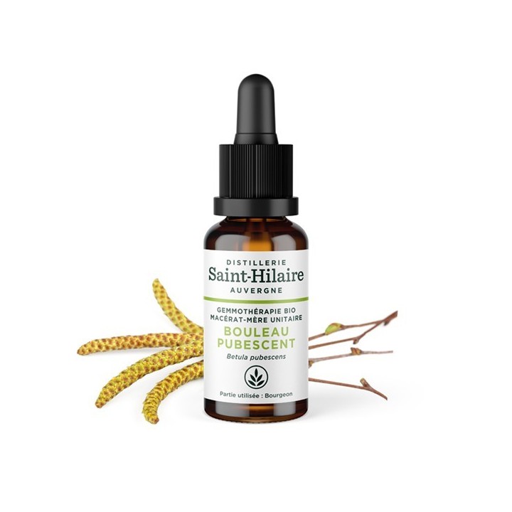 Macérat glycériné BIO de bourgeon de Bouleau (Pibescent) - 30ml - Saint-Hilaire