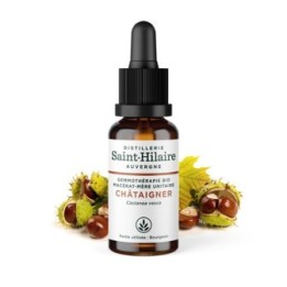 Macérat glycériné BIO de bourgeon de Châtaignier - 30ml - Saint-Hilaire
