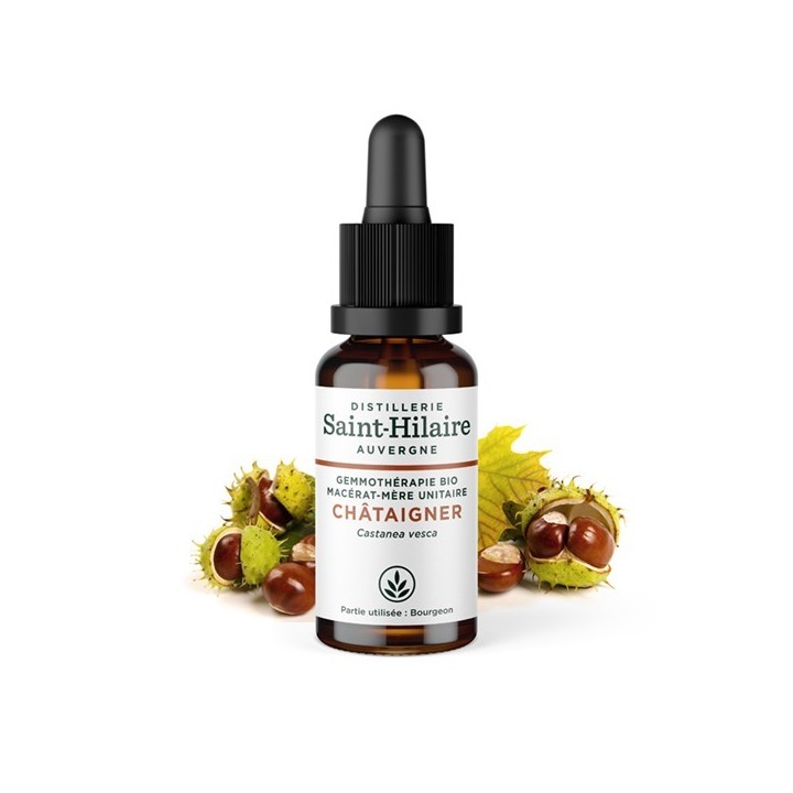 BIO Kastanienbaum Knospen Glyzerinmazerat - 30ml - Saint-Hilaire