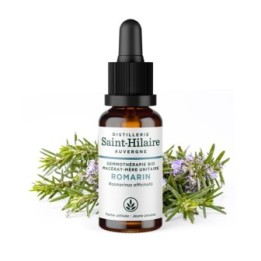 Macérat glycériné BIO de bourgeon de Romarin - 30ml - Saint-Hilaire