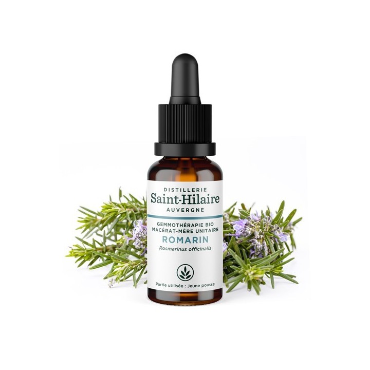 Macérat glycériné BIO de bourgeon de Romarin - 30ml - Saint-Hilaire