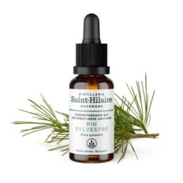 Macerato di glicerina biologico di gemma di Pino silvestre - 30ml - Saint-Hilaire