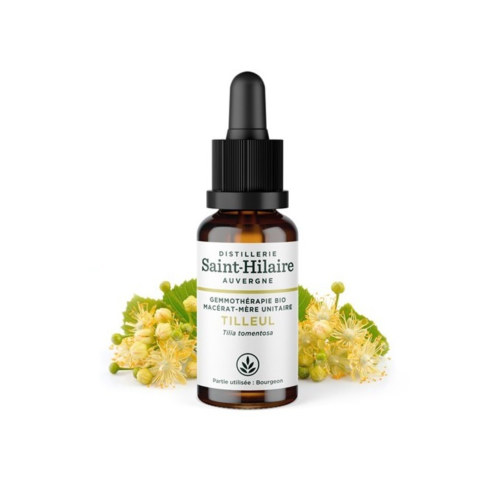 Lindenblüten Knospen Glyzerinmazerat BIO - 30ml - Saint-Hilaire