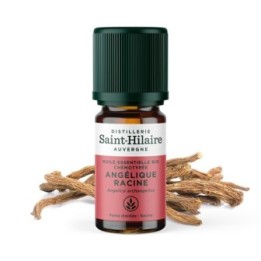 Angelikawurzel ätherisches Öl (Samen) - 5ml - De Saint Hilaire