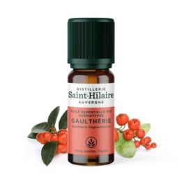 Olio essenziale (Biologico) di Wintergreen - 10ml - De Saint Hilaire