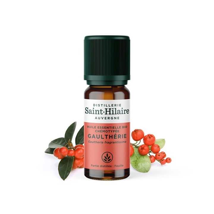 Huile essentielle BIO de Wintergreen (Gaulthérie) - 10ml - De Saint Hilaire