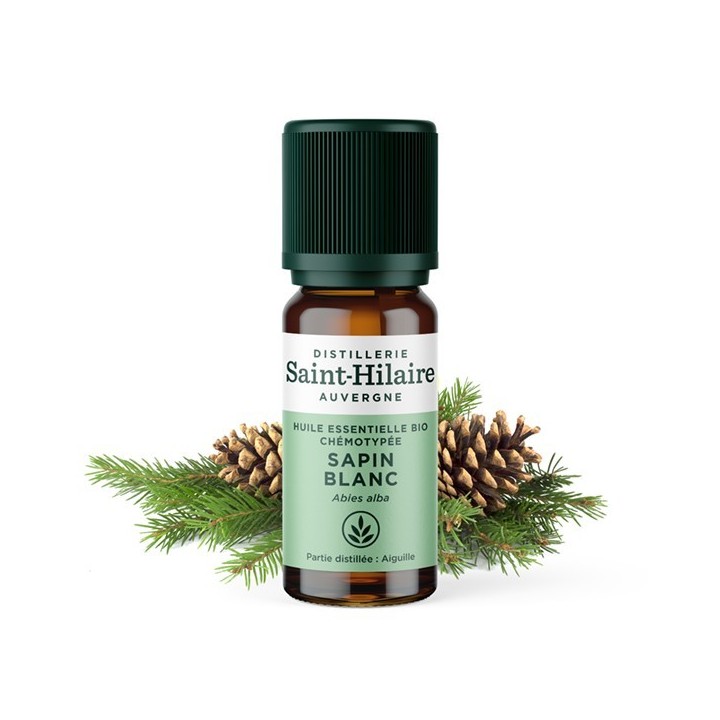 Weißtanne ätherisches Öl - 10ml - De Saint Hilaire
