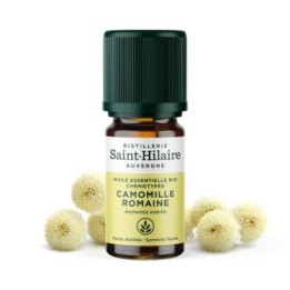 Kamille römisch ätherisches Öl - 5ml - De Saint Hilaire