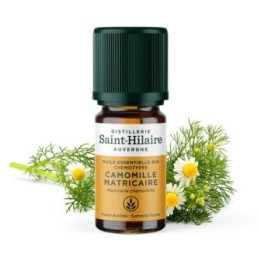 Kamille echt ätherisches Öl - 5ml - De Saint Hilaire