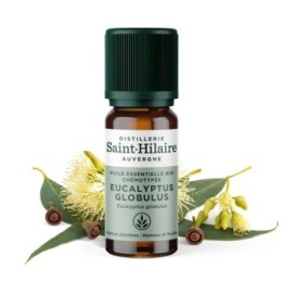 Huile essentielle BIO d'Eucalyptus Globuleux - 10ml - De Saint Hilaire