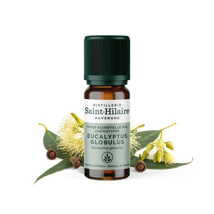 Olio essenziale (Biologico) di eucalipto (globulare) - 10ml - De Saint Hilaire