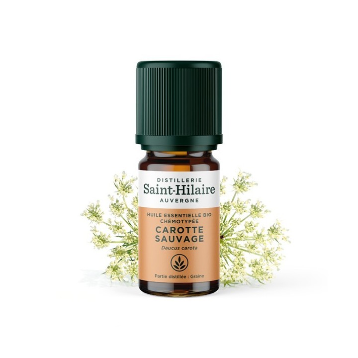 Huile essentielle BIO de Carotte Sauvage - 5ml - De Saint Hilaire