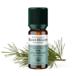 Kiefer ätherisches Öl - 10ml - De Saint Hilaire