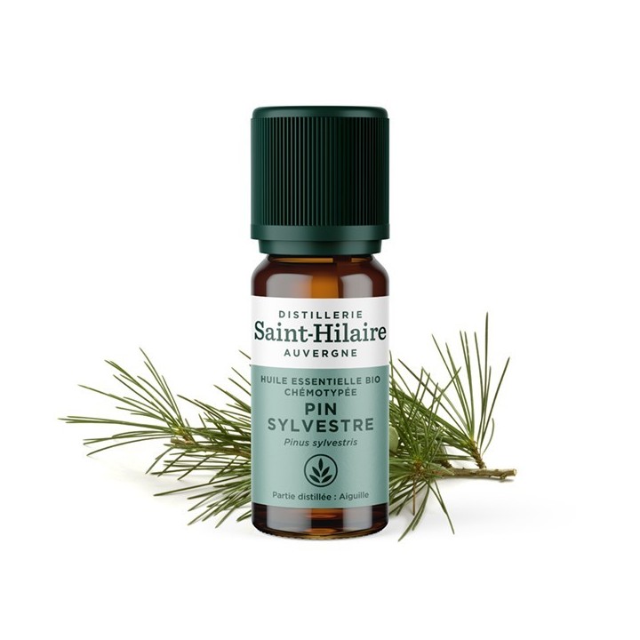Huile essentielle BIO de Pin Sylvestre - 10ml - De Saint Hilaire