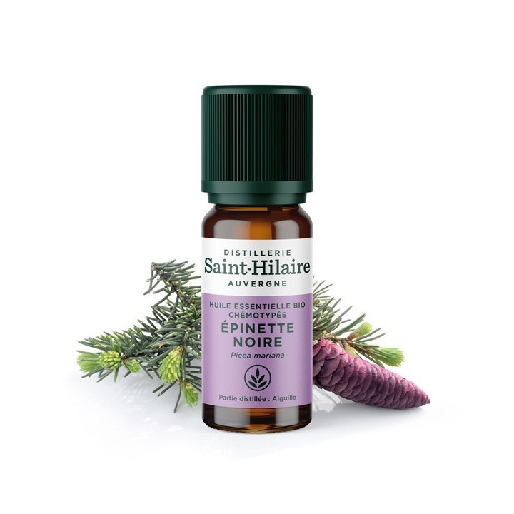 Huile essentielle BIO d'épinette noire - 10ml - De Saint Hilaire