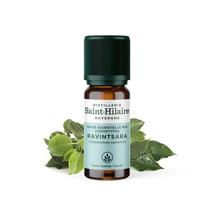 Ravintsara ätherisches Öl - 10ml - De Saint Hilaire