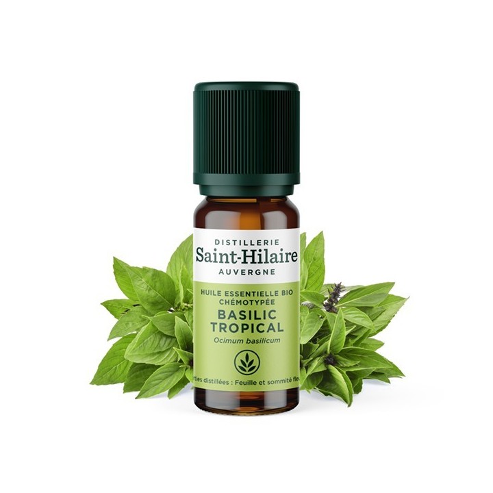 Basilikum ätherisches Öl - 10ml - De Saint Hilaire