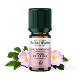 Rose bulgarisch ätherisches Öl - 2ml - De Saint Hilaire