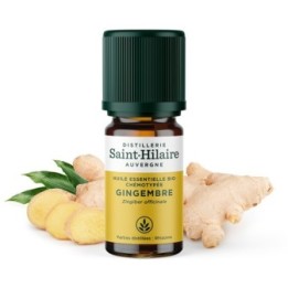 Ingwer ätherisches Öl - 5ml - De Saint Hilaire