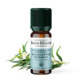 Eukalyptus radiata ätherisches Öl - 10ml - De Saint Hilaire