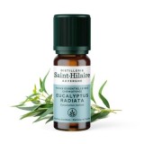 Eukalyptus radiata ätherisches Öl - 10ml - De Saint Hilaire