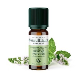 Pfefferminze ätherisches Öl - 10ml - De Saint Hilaire