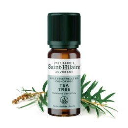 Huile essentielle BIO de Tea Tree - 10ml - De Saint Hilaire