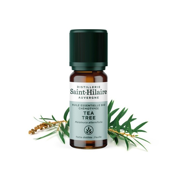 Olio essenziale (Biologico) di Tea Tree - 10ml - De Saint Hilaire