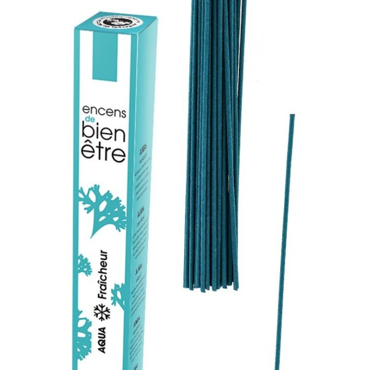 Incenso giapponese, Aromambiance, Profumo e deodorante - Aqua - 30pces - Les Encens du Monde