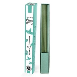 Incenso giapponese, Aromambiance, Profumo e deodorante - Tè verde - 30pces - Les Encens du Monde