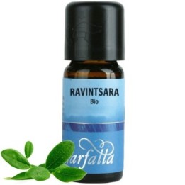 Olio Essenziale Bio - Ravintsara - 5 ml  - Farfalla