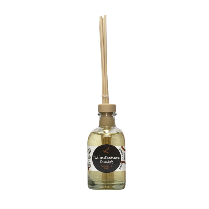 Stick Diffuser Zimt, umweltfreundlich - 100ml - Kokym Switzerland