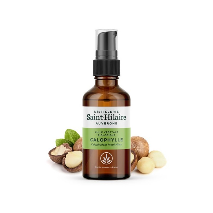Huile végétale BIO de Calophyllum inophylum - 50ml - De Saint Hilaire