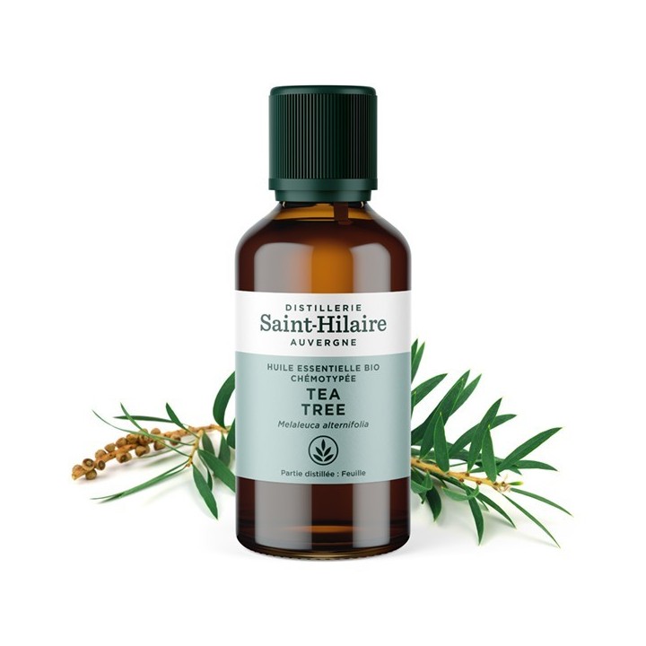 Huile essentielle BIO de Tea Tree - 50ml - De Saint Hilaire