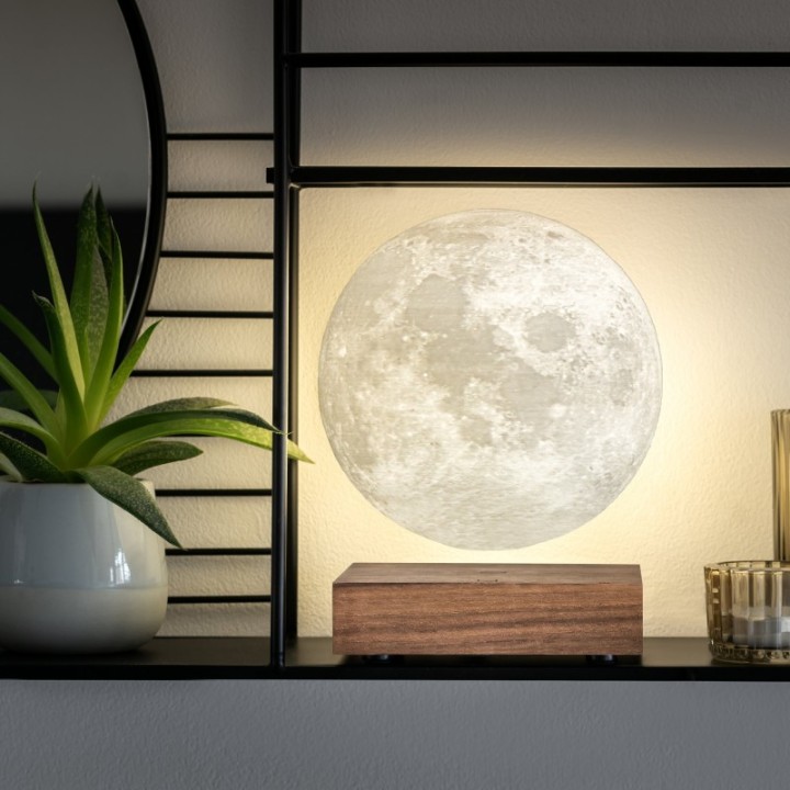 Hängelampe Mond mit Sockel aus Walnussholz - Gingko Design