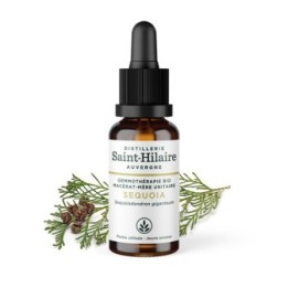 Macérat-mère glycériné BIO de bourgeon de Sequoia - 30ml - Saint-Hilaire