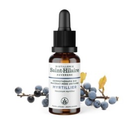 Macérat-mère glycériné BIO de bourgeon de Myrtillier - 30ml - Saint-Hilaire