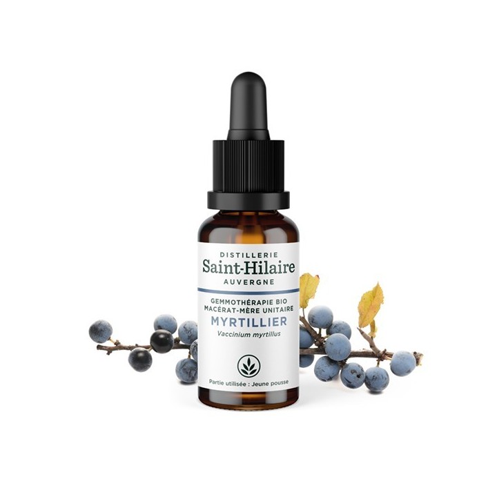 Macérat-mère glycériné BIO de bourgeon de Myrtillier - 30ml - Saint-Hilaire