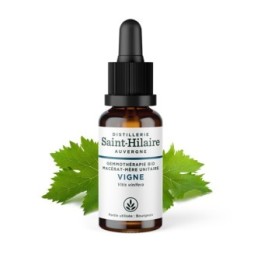 Weinrebe Knospe Bio Muttermazerat (Glyzerin) - 30ml - Saint-Hilaire